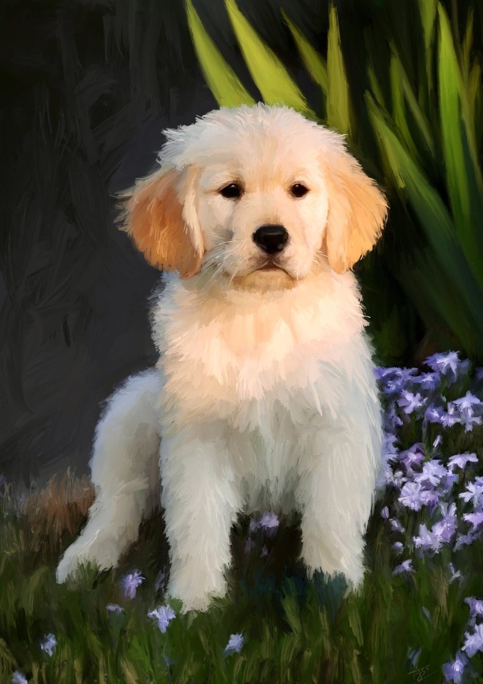 Лабрадор ретривер золотистый