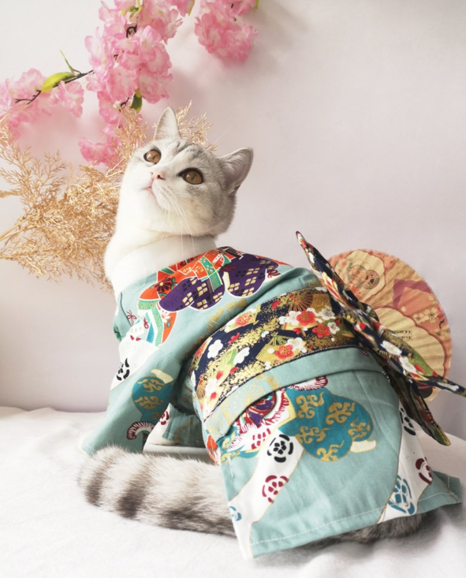 Кошка в кимоно
