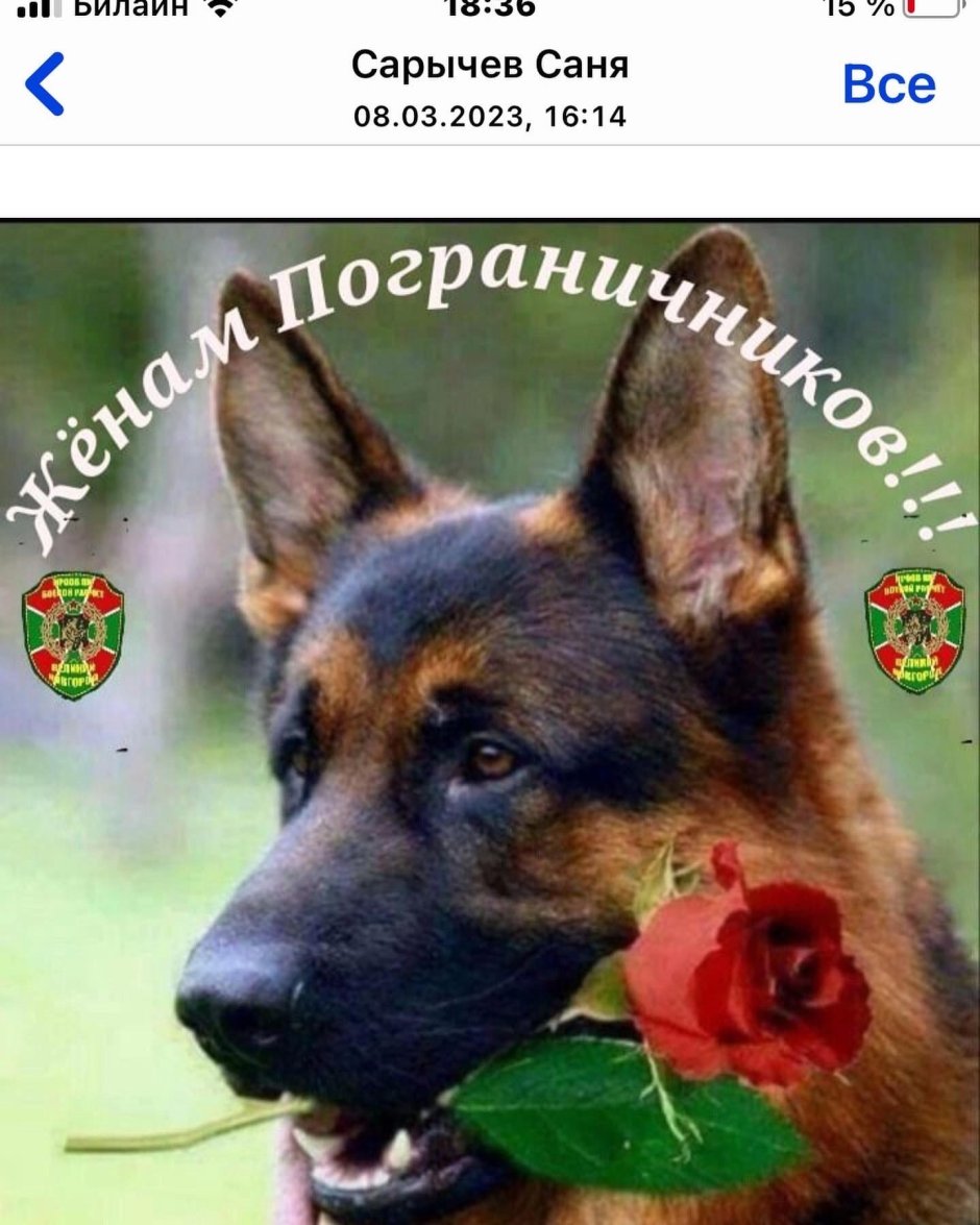 Овчарка с цветами в зубах