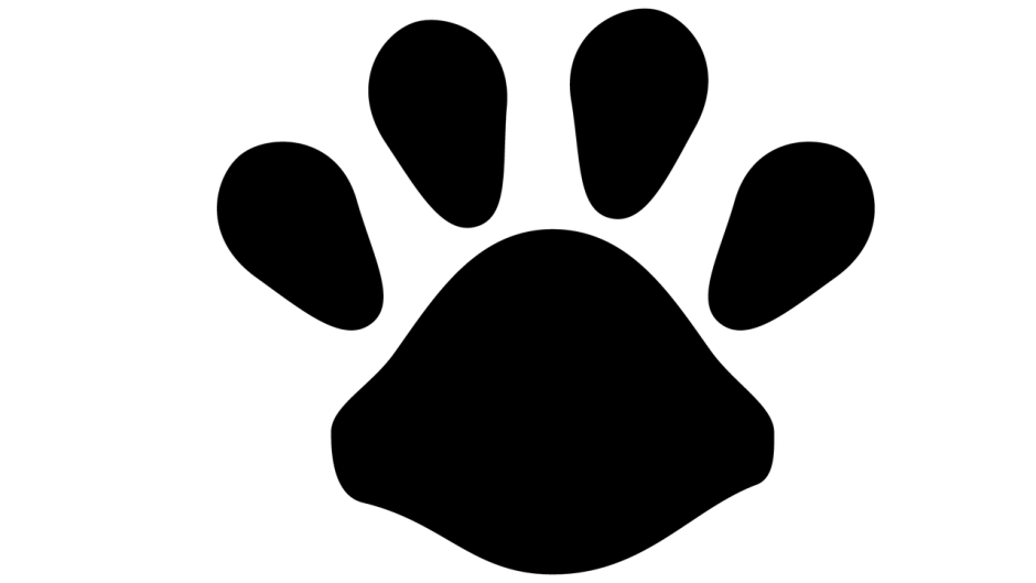 Лапка щенка