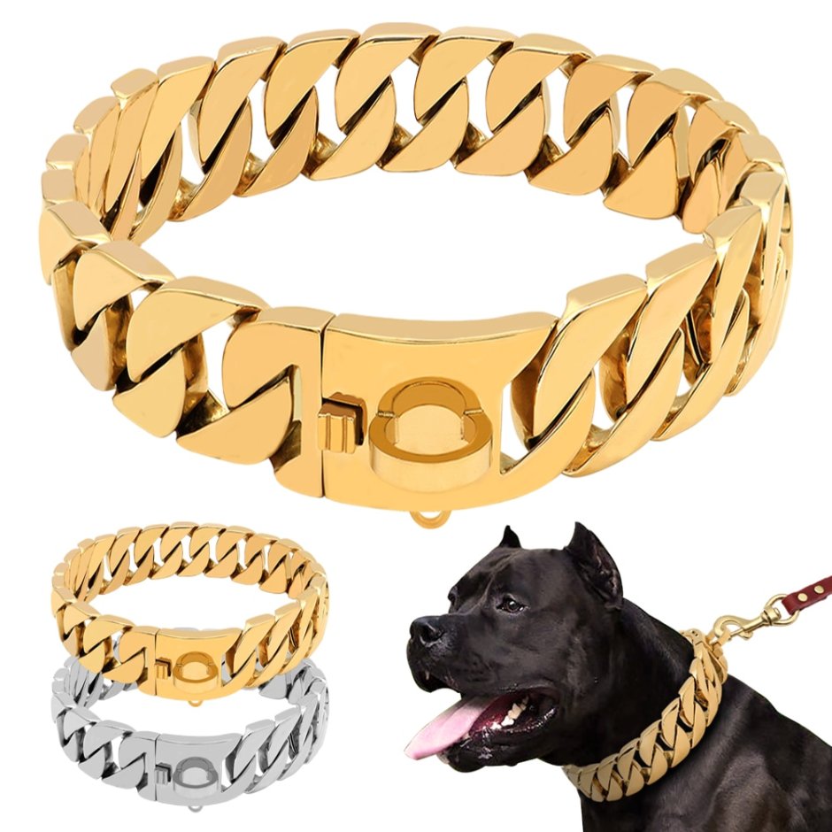 Ошейник Pit bull 010u с поводком