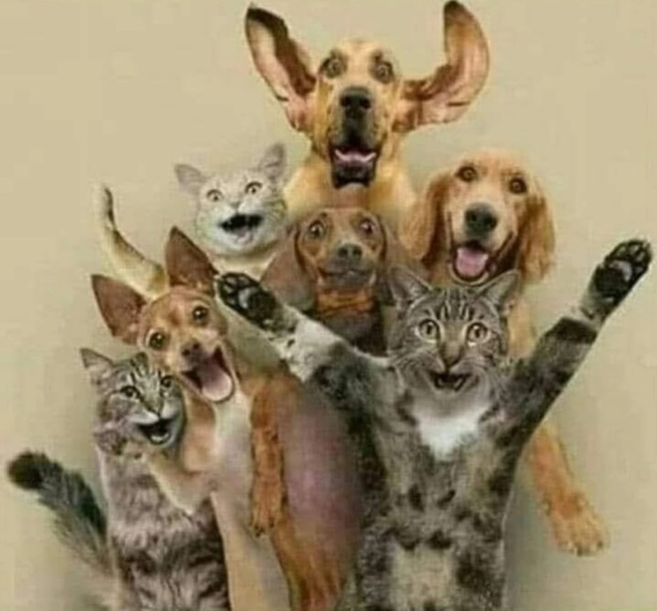 Корпоратив картинки прикольные