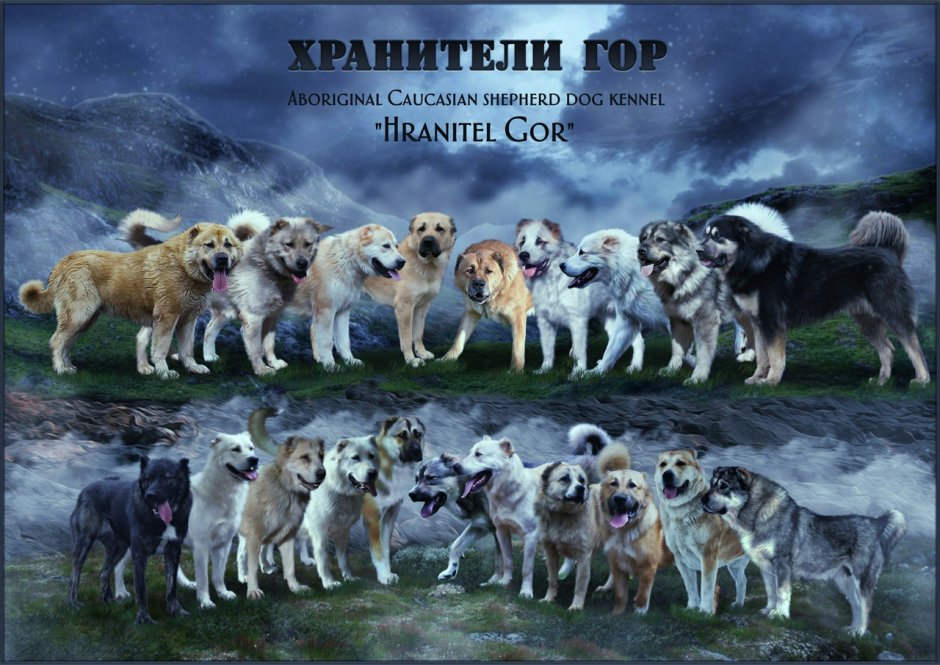 Хранитель горы