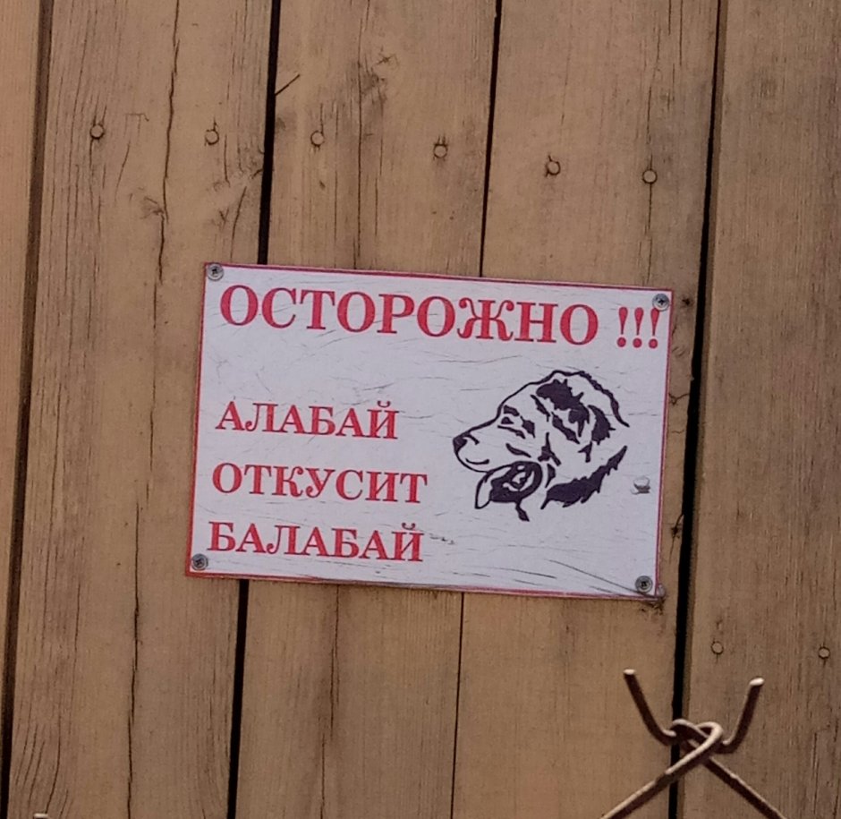 Территория охраняется алабаем табличка