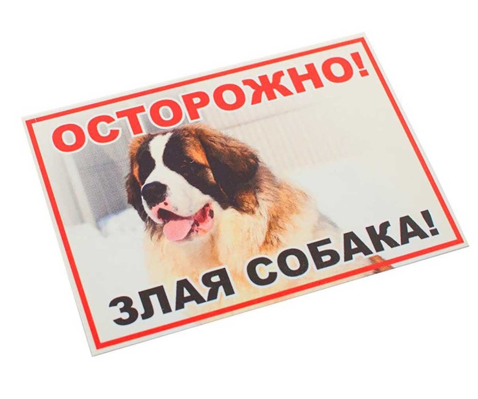 Осторожно злая собака Сенбернар