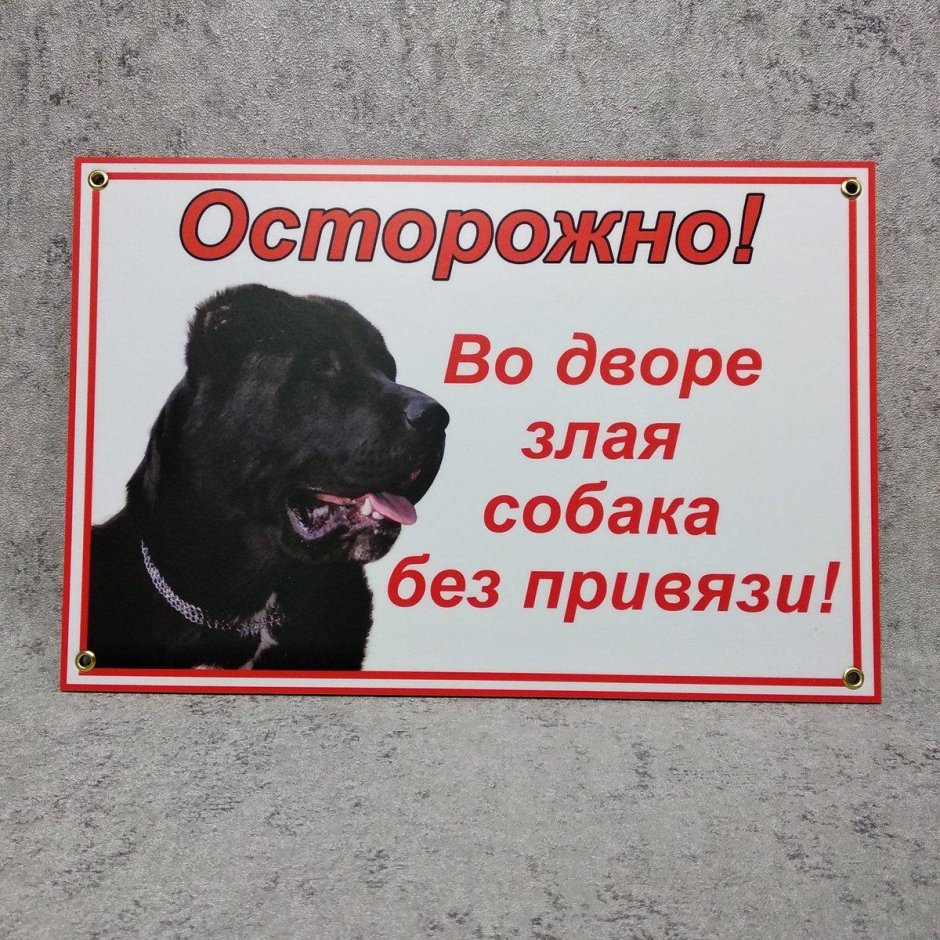 Во дворе алабай без привязи табличка