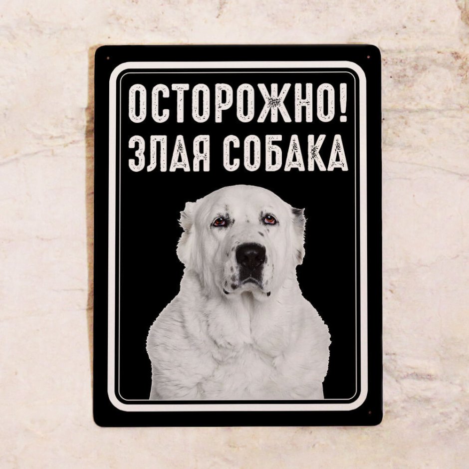 Осторожно злая собака алабай