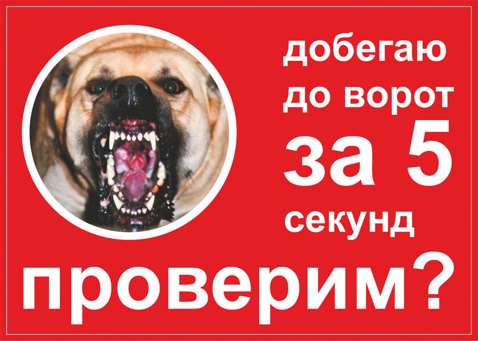 Добегаю до ворот за 5 секунд