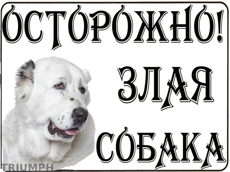Осторожно злая собака алабай