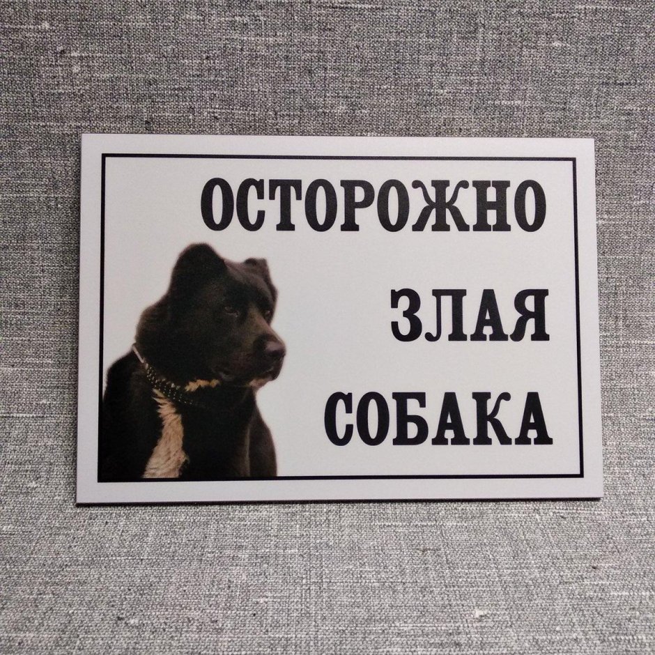 Табличка осторожно злая собака алабай