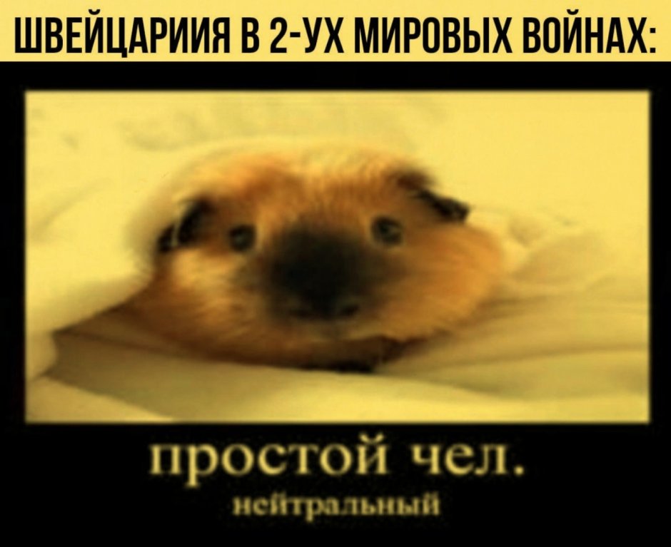 Добрый чел позитивный