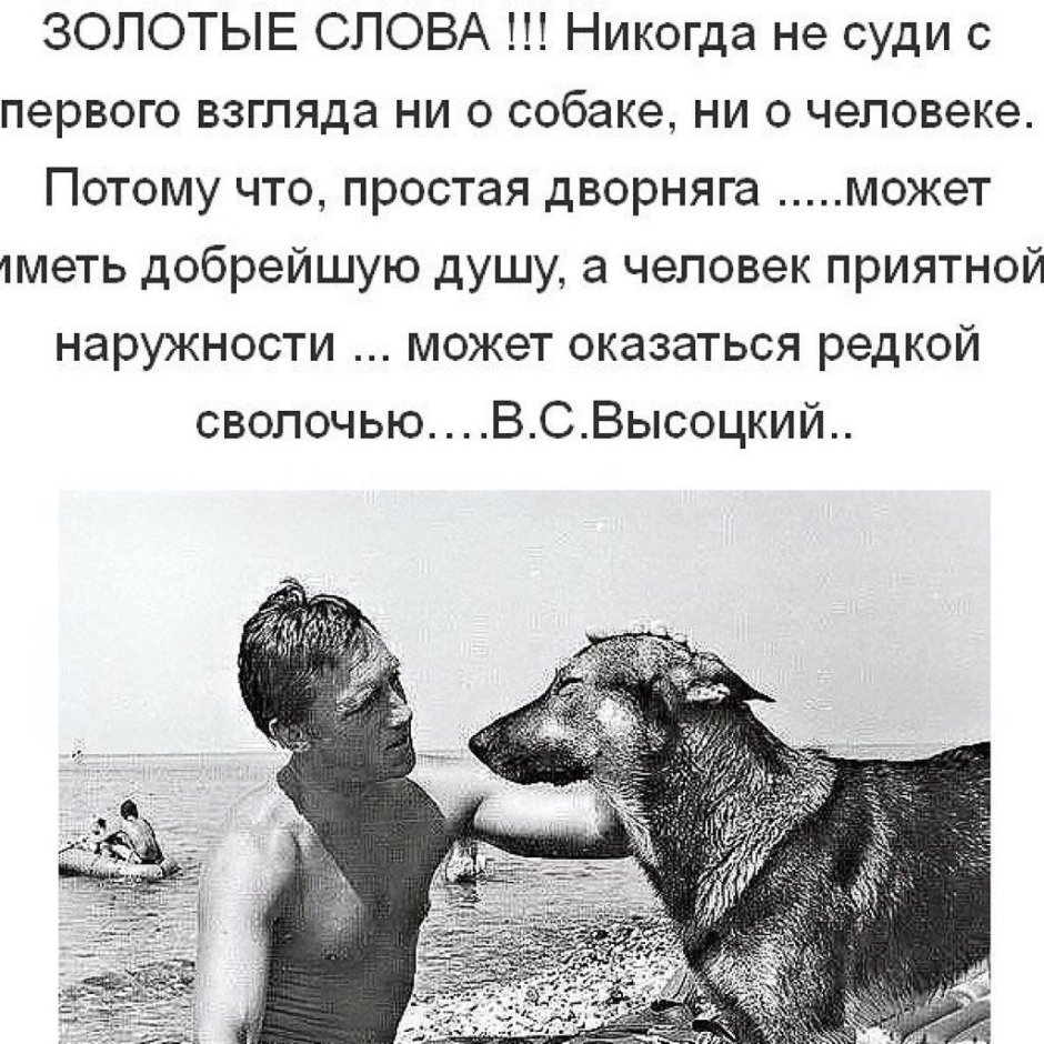 Собака и человек цитаты