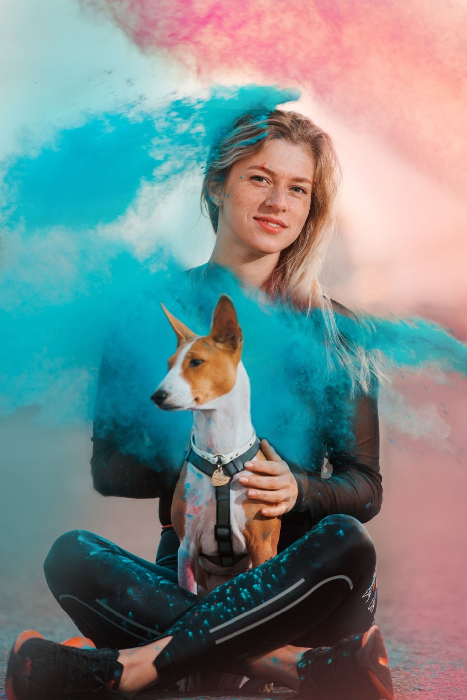 Собака в красках Холли