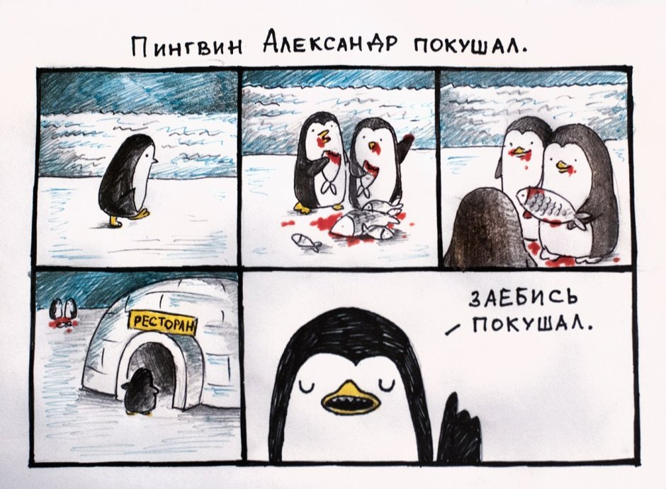 Шутки про пингвинов