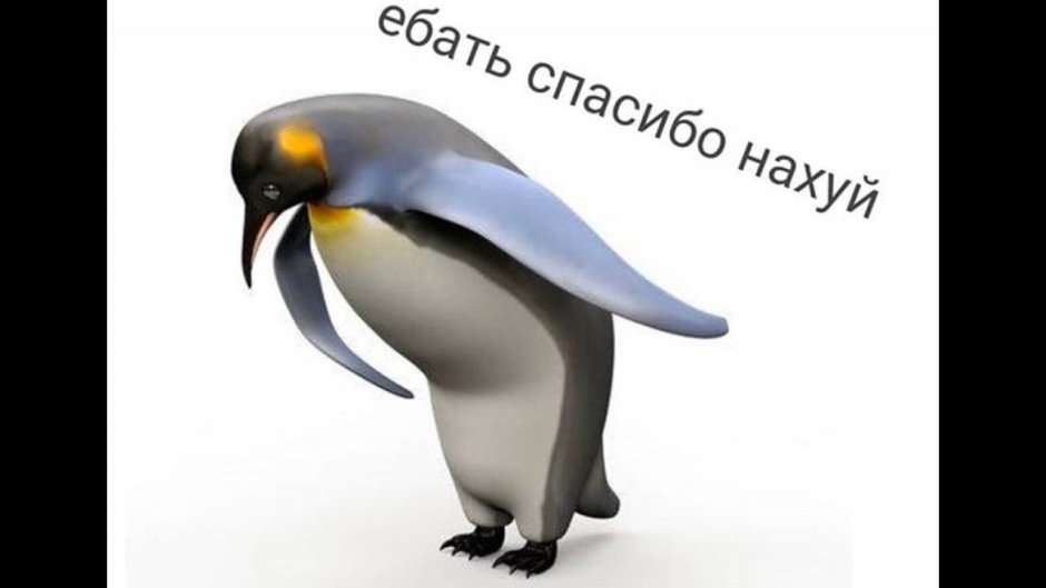 Пингвин поклон