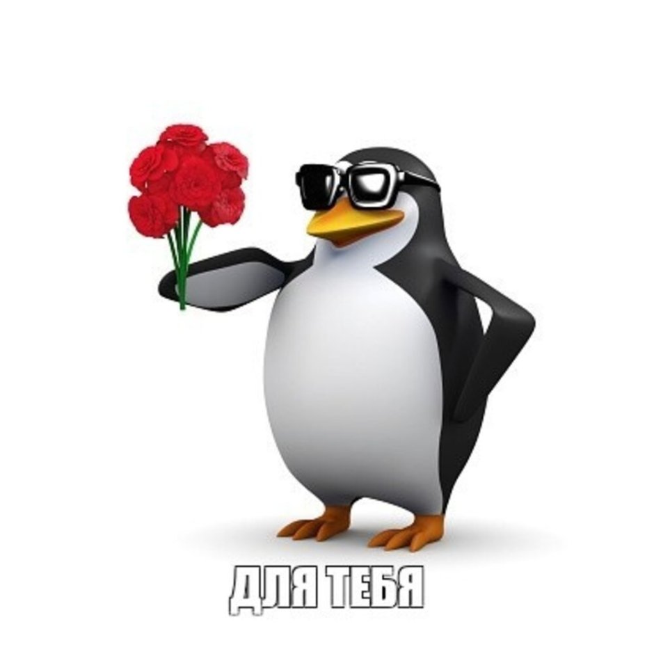 Спасибо за внимание Пингвин