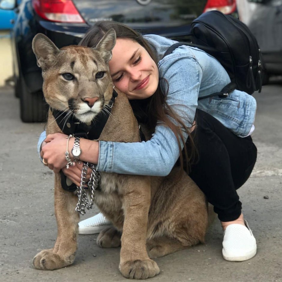 Пума Месси в Пензе