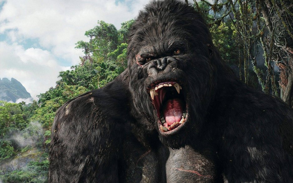 Silverback Gorilla смешная