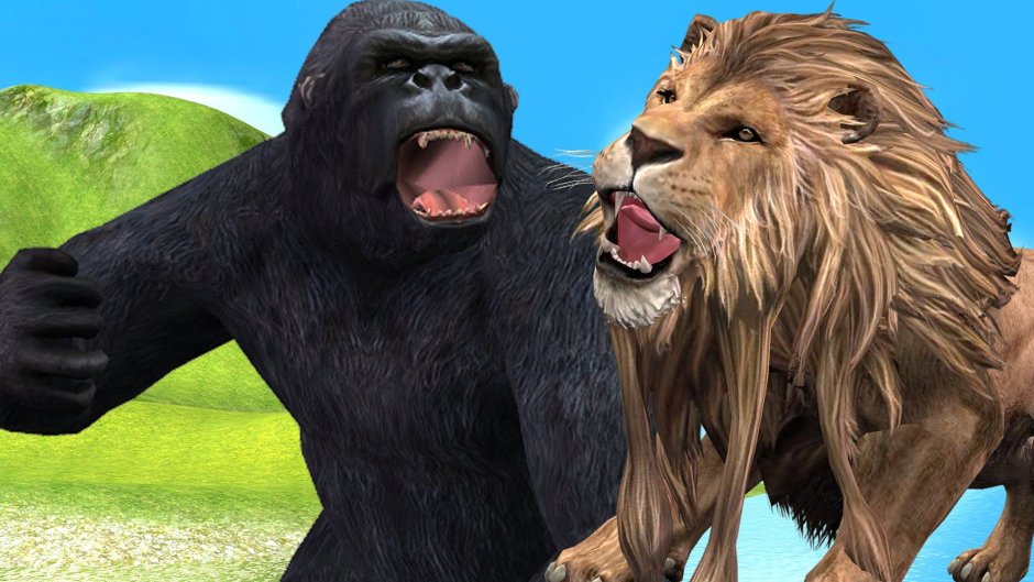 Lion vs Gorilla