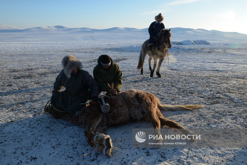 Тыва зима Чабанская стоянка