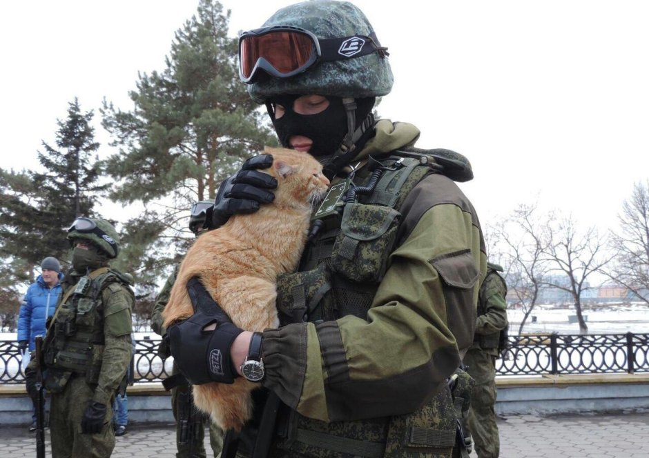 Больше не кiт