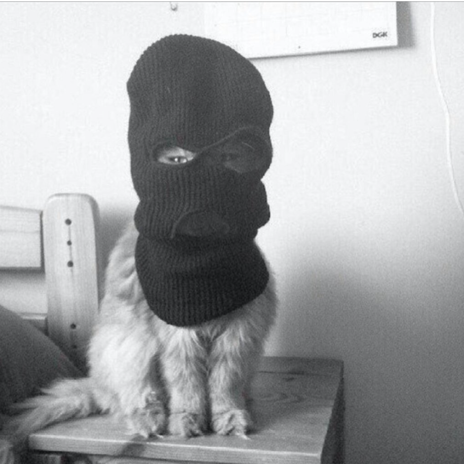 Дашаев Магомед