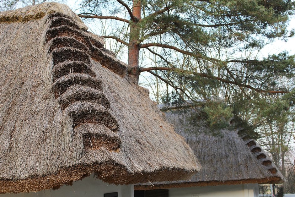Соломенная крыша Андрей Бобровицкий