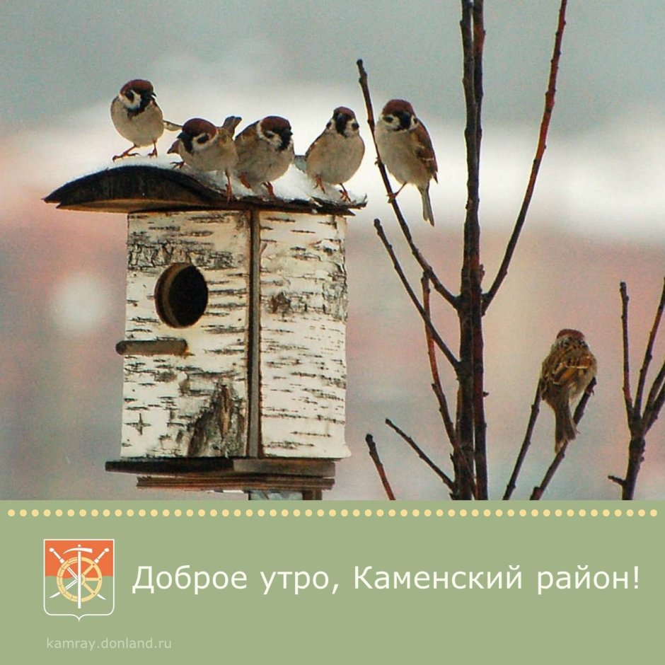 Скворечник для птиц