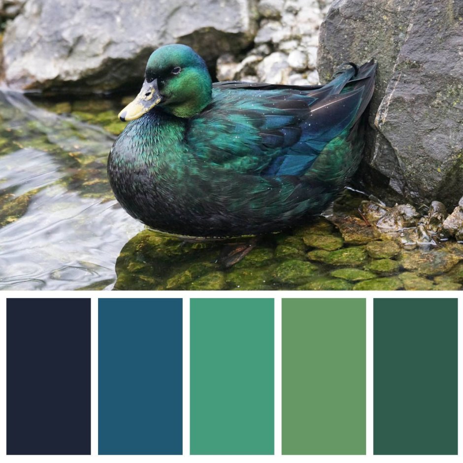 Mallard Green цвет