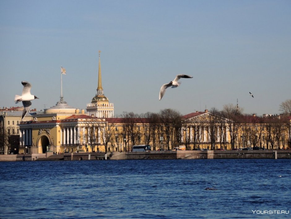 Санкт-Петербург Нева Чайки