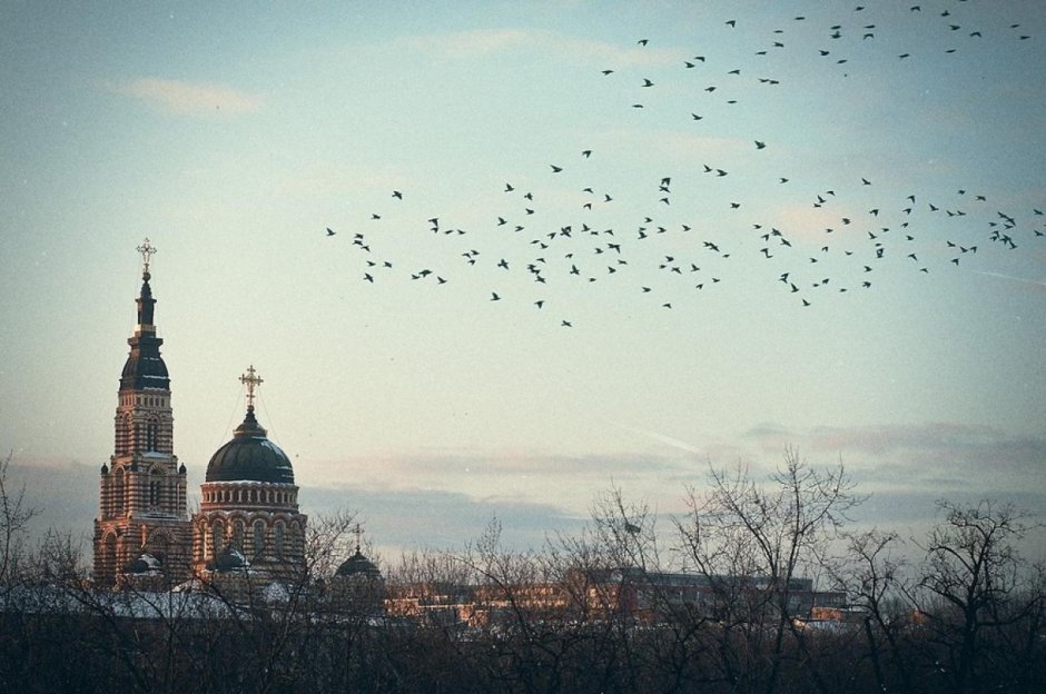 Птицы над Церковью