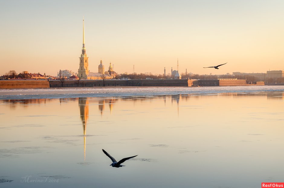 Утро в Питере весной