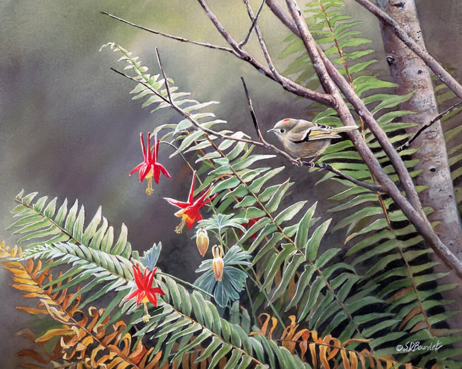 Songbirds художник