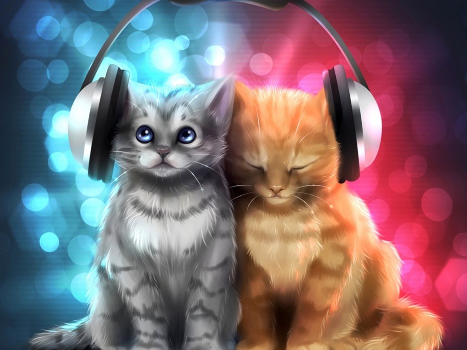 Арты котят