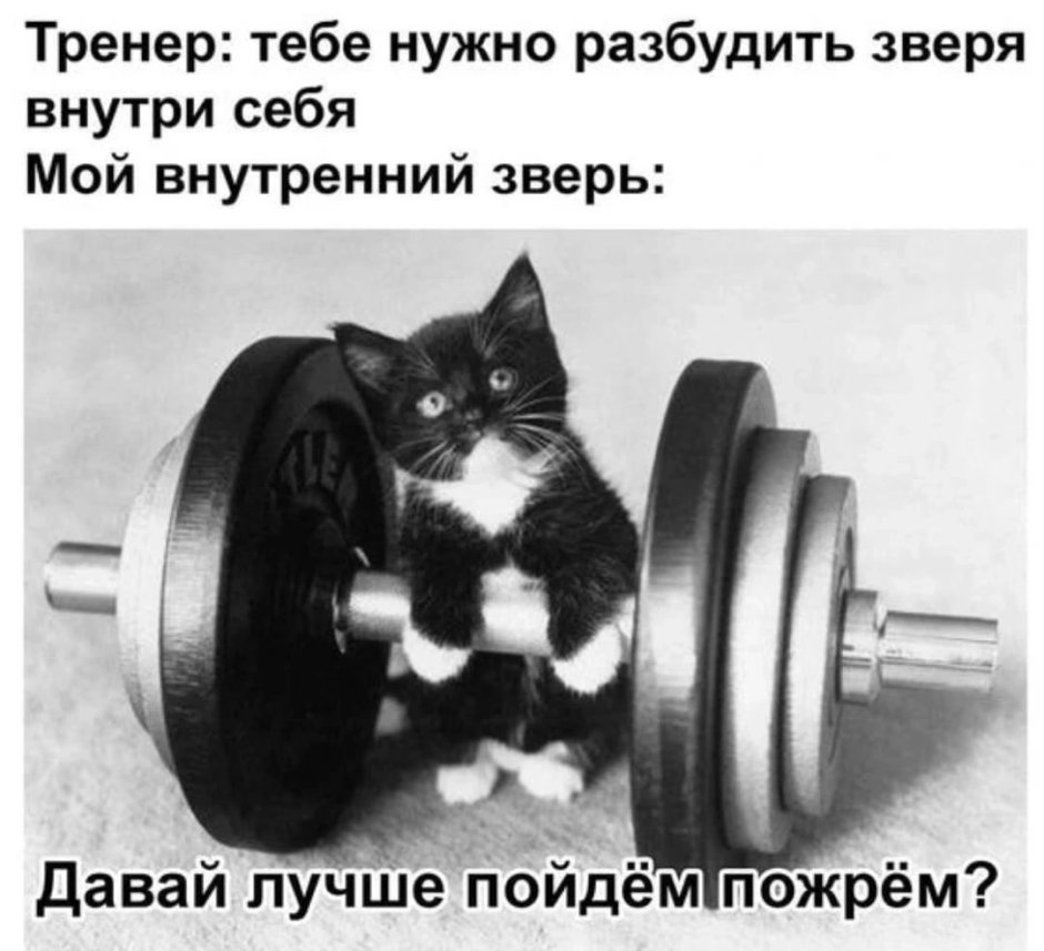 Котик со штангой
