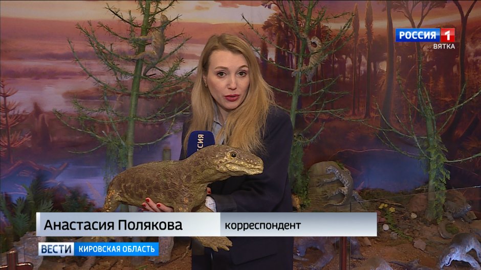 Зайцеобразные заяц Русак