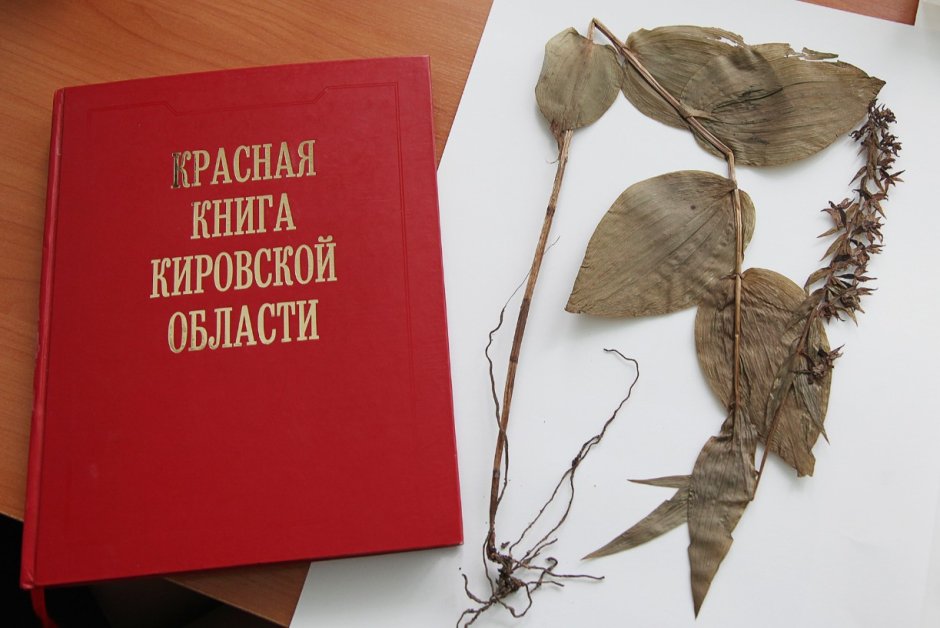 Красная книга Кировской области книга