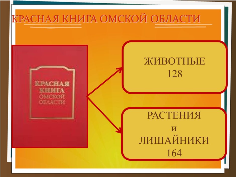 Животные красной книги Омской области