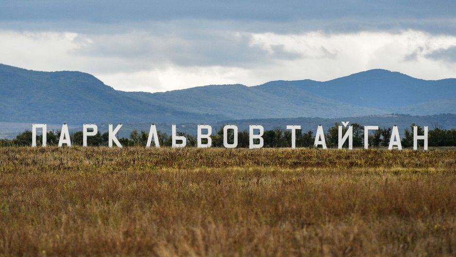 Парк Тайган Крым директор